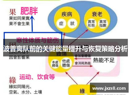 波普离队前的关键能量提升与恢复策略分析