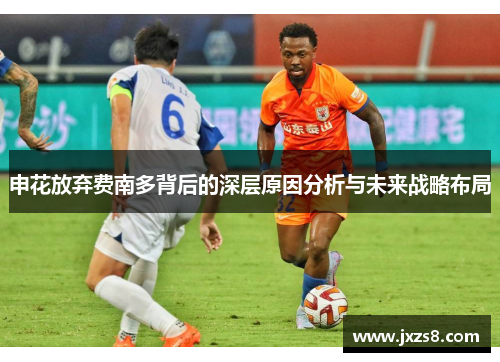 申花放弃费南多背后的深层原因分析与未来战略布局